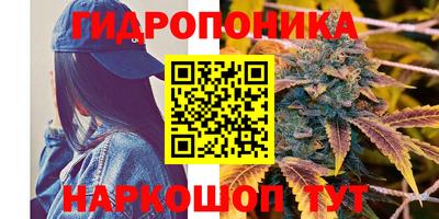 сатива Балаково