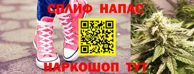 сатива Балаково