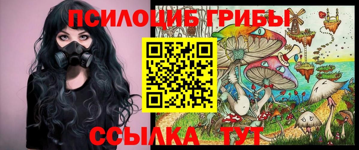 Псилоцибиновые грибы Psilocybine cubensis Губаха