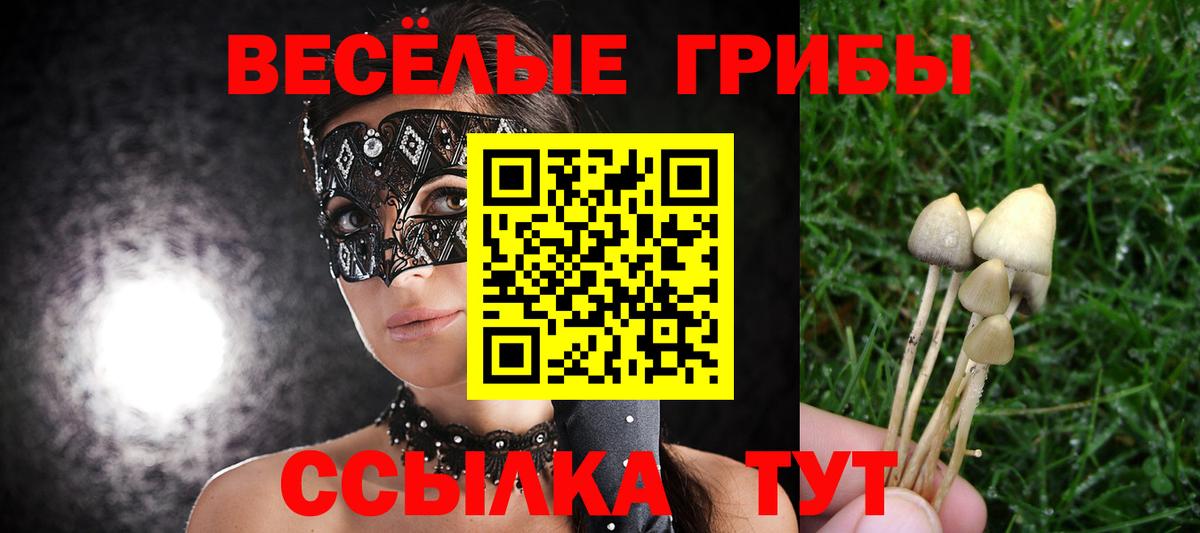 Галлюциногенные грибы ЛСД  купить   Губаха  Вход с VPN 